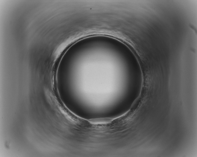 X0000100881511200806201234