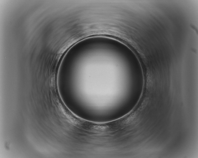 X0000100881513200806201234