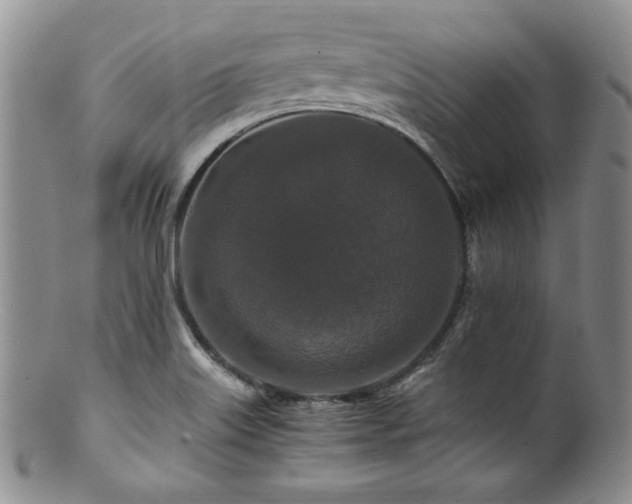 X0000100881515200806201234