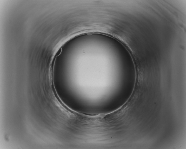 X0000100881516200806201234