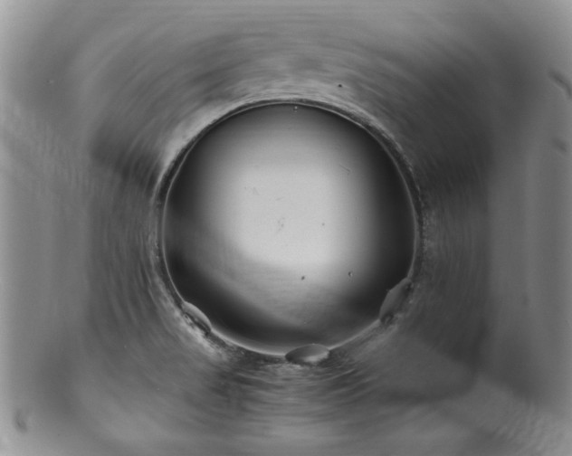 X0000100881517200806201234