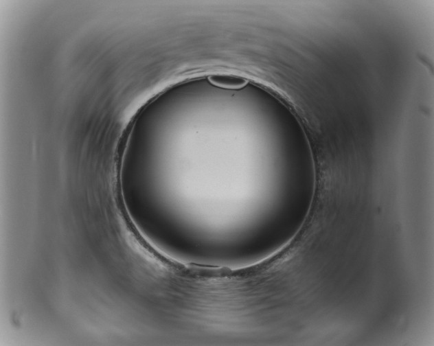 X0000100881518200806201234