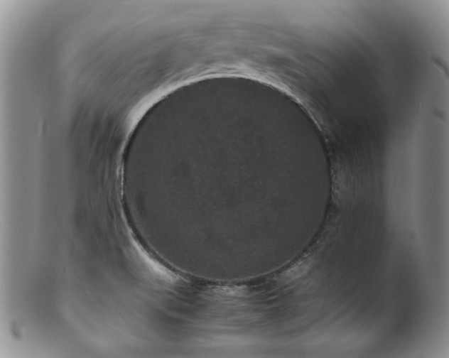 X0000100881519200806201234