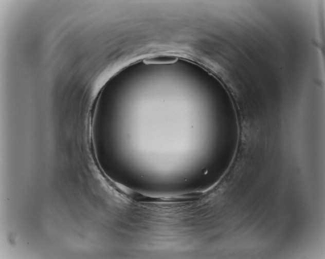 X0000100881520200806201234