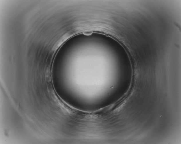 X0000100881521200806201234