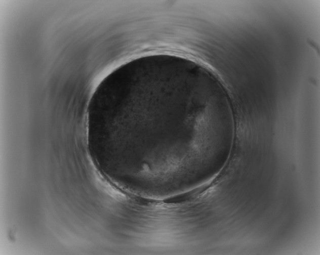X0000100881522200806201234