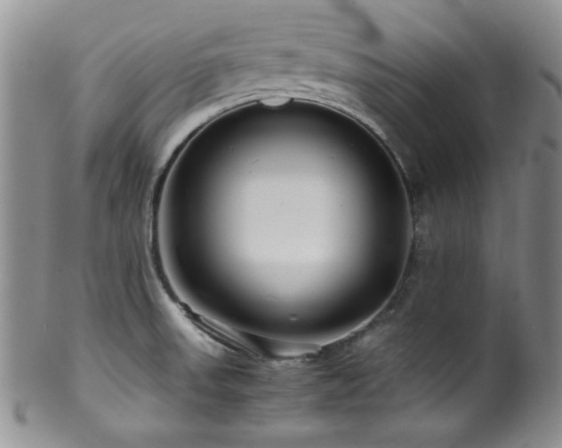 X0000100881523200806201234