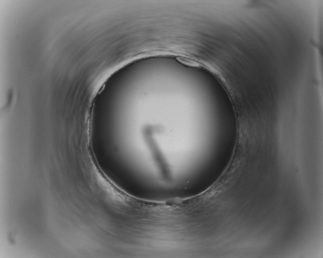 X0000100881524200806201234