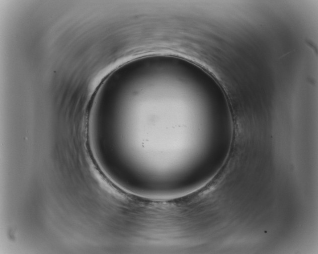 X0000100881526200806201234