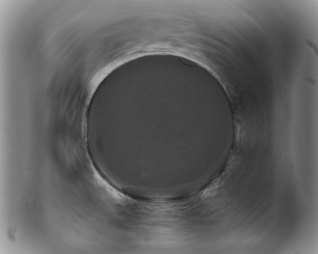 X0000100881527200806201234