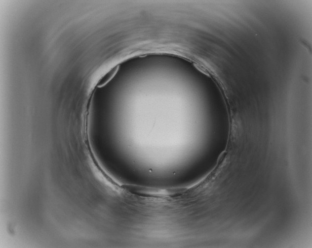 X0000100881528200806201234