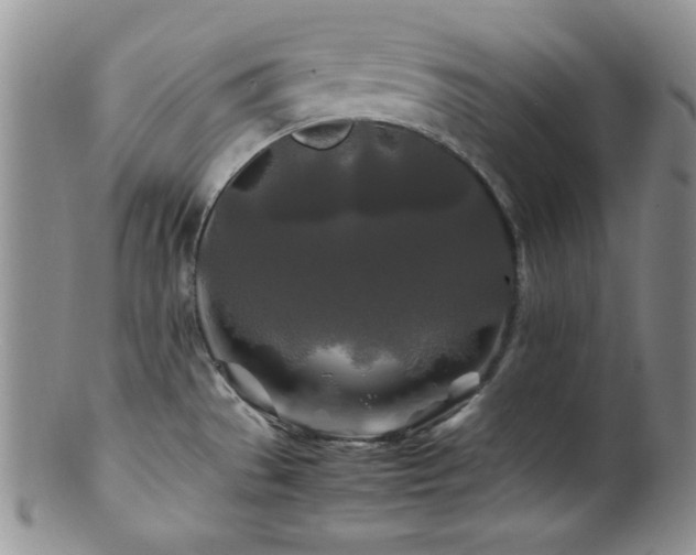 X0000100881529200806201234
