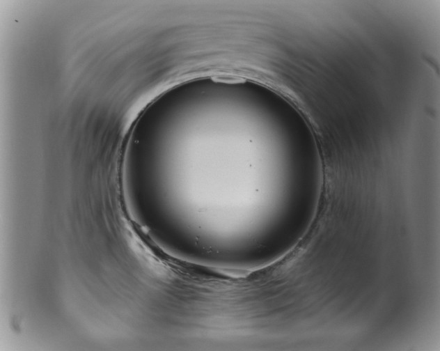 X0000100881530200806201234
