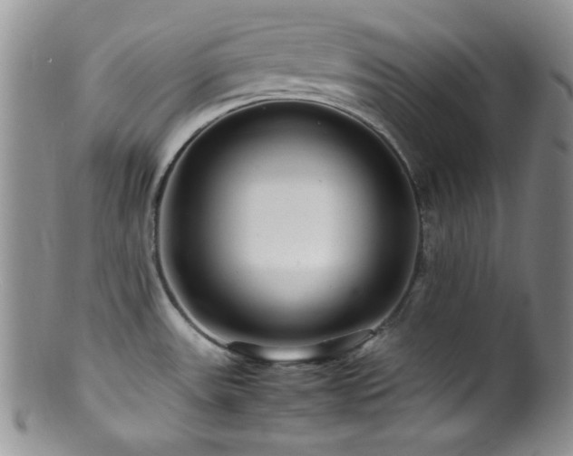 X0000100881531200806201234