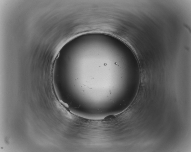 X0000100881532200806201234
