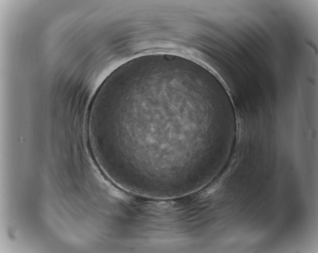 X0000100881533200806201234
