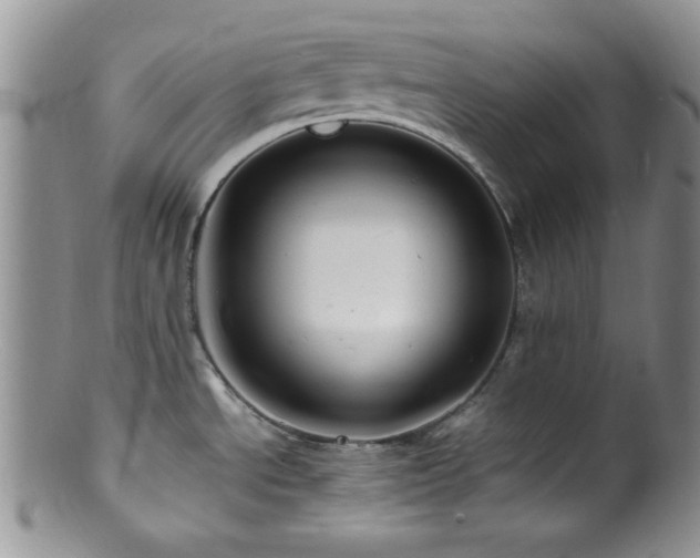 X0000100881534200806201234