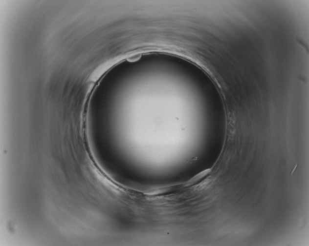 X0000100881535200806201234