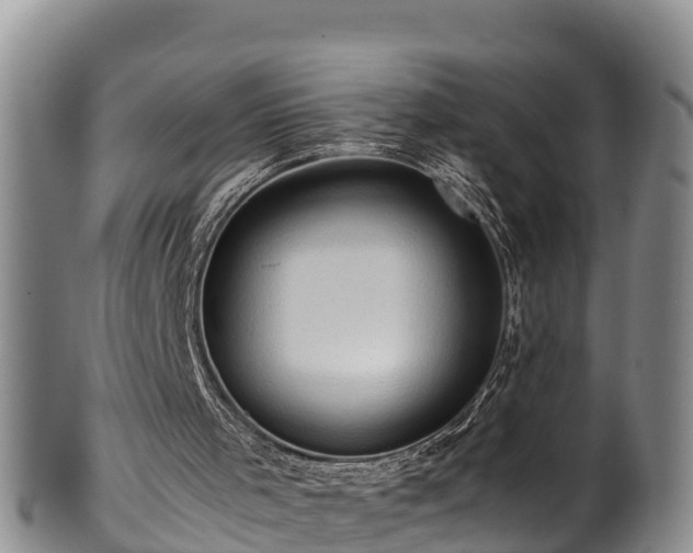 X0000100880001200806271149