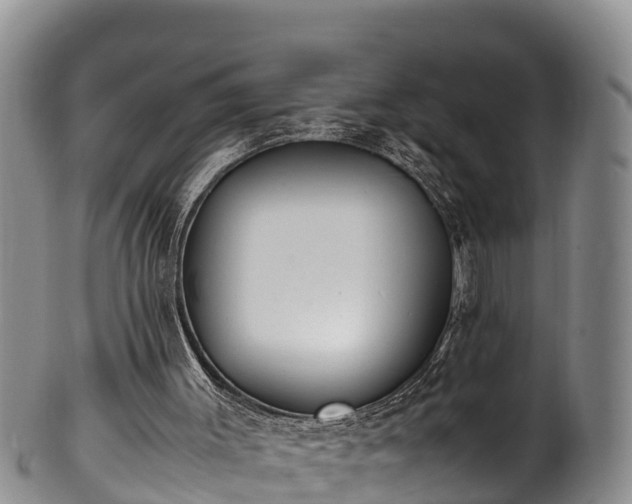 X0000100880003200806271149