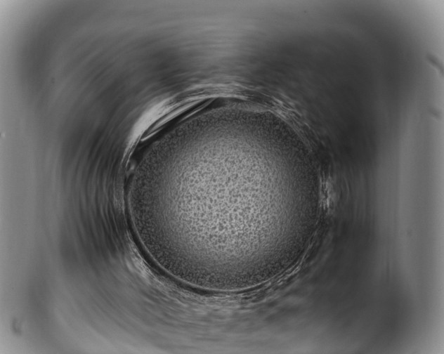 X0000100880004200806271149