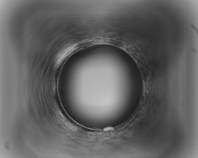 X0000100880005200806271149