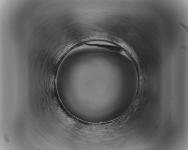 X0000100880009200806271149