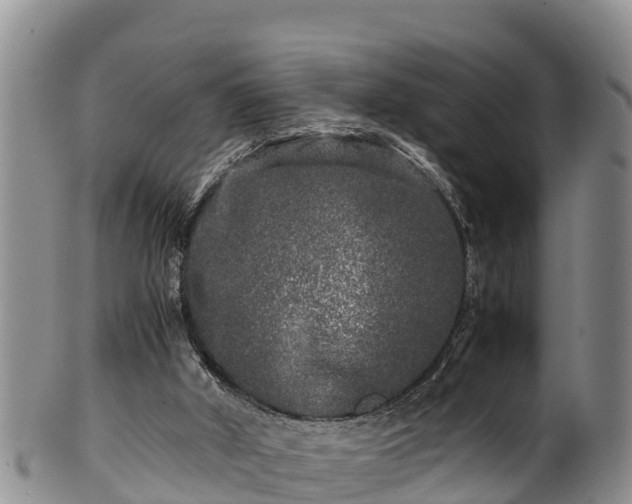 X0000100880010200806271149