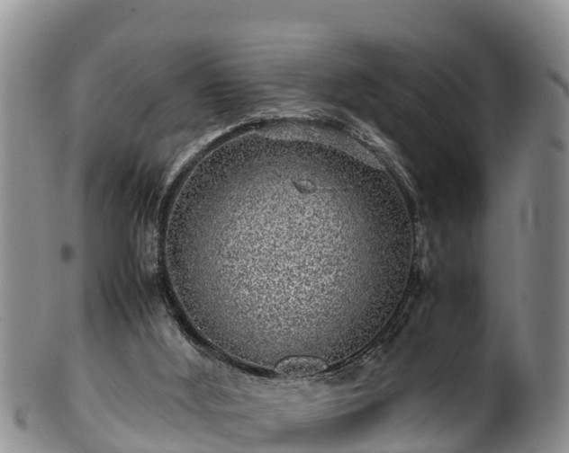 X0000100880012200806271149