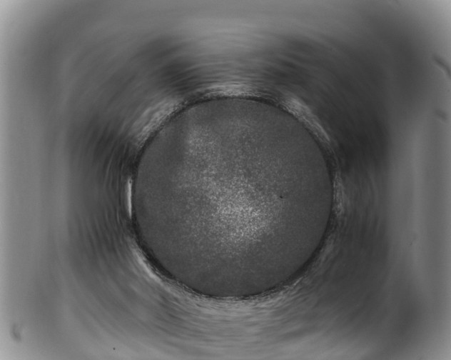 X0000100880014200806271148