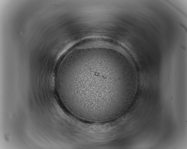 X0000100880016200806271148