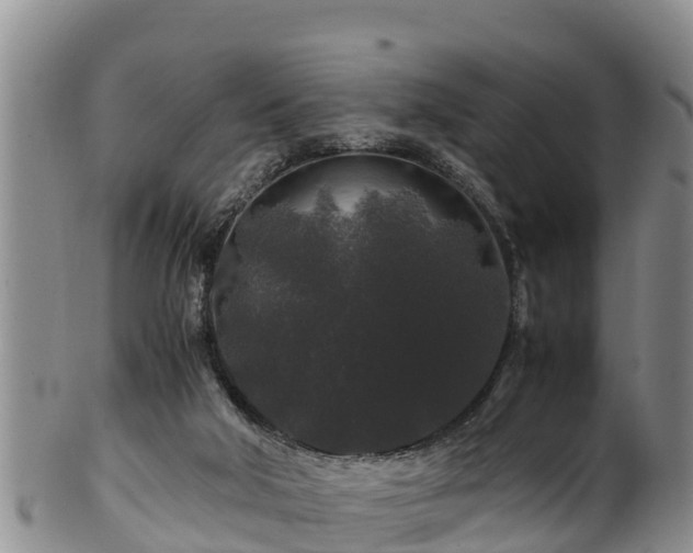 X0000100880018200806271148