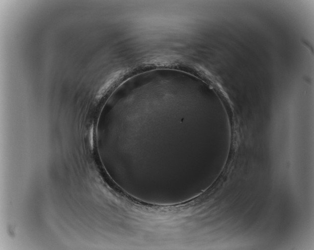 X0000100880019200806271148