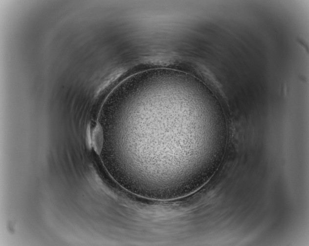 X0000100880020200806271148