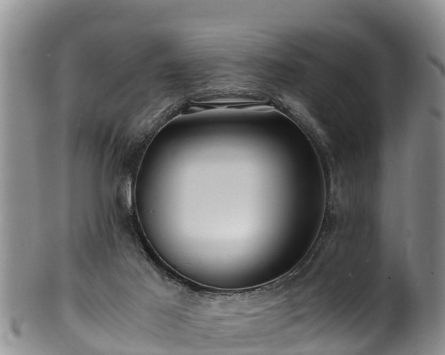 X0000100880021200806271148