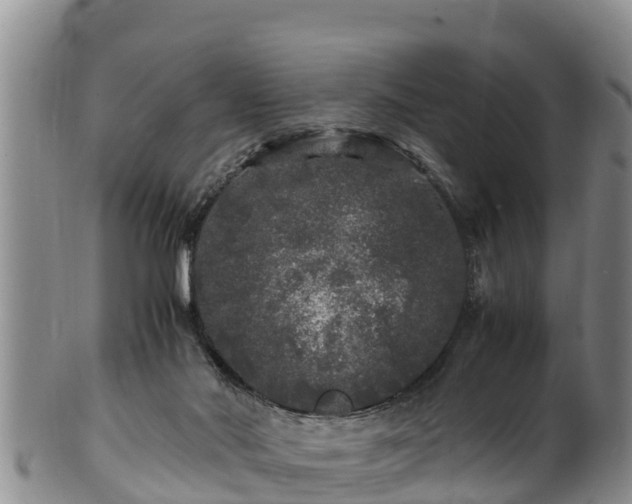 X0000100880022200806271148