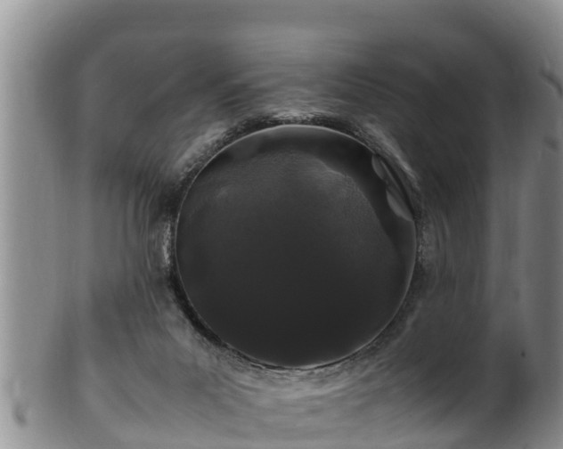 X0000100880023200806271148