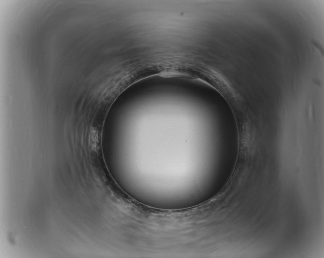 X0000100880025200806271148