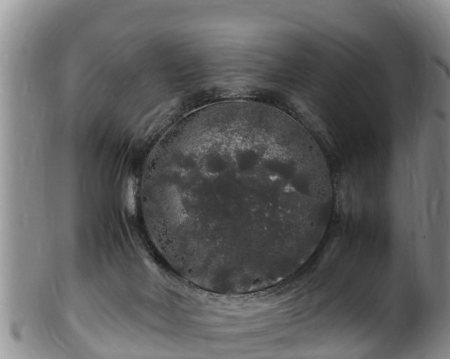 X0000100880026200806271148