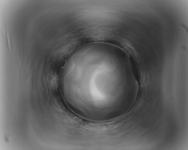 X0000100880029200806271148