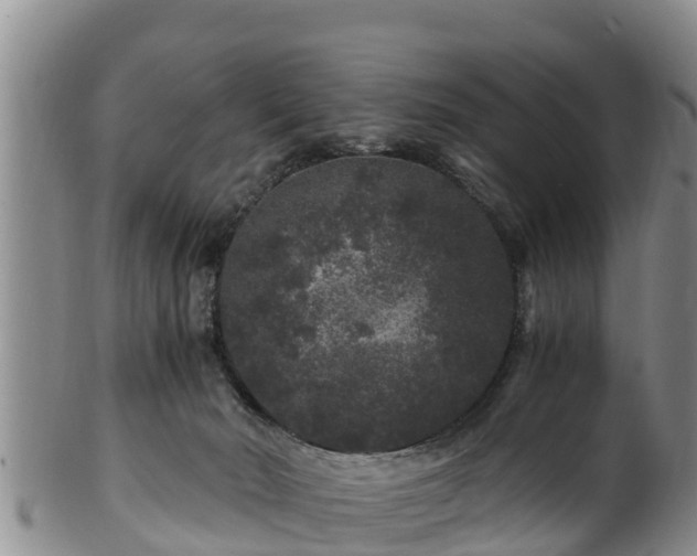 X0000100880030200806271148