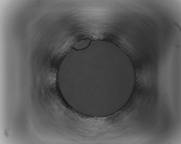 X0000100880032200806271148