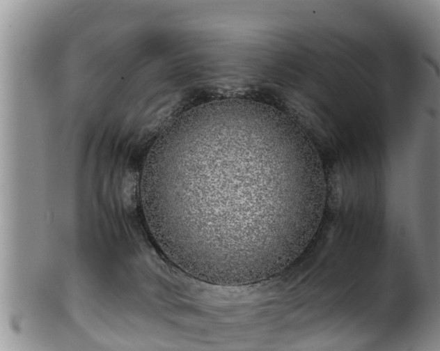 X0000100880034200806271148