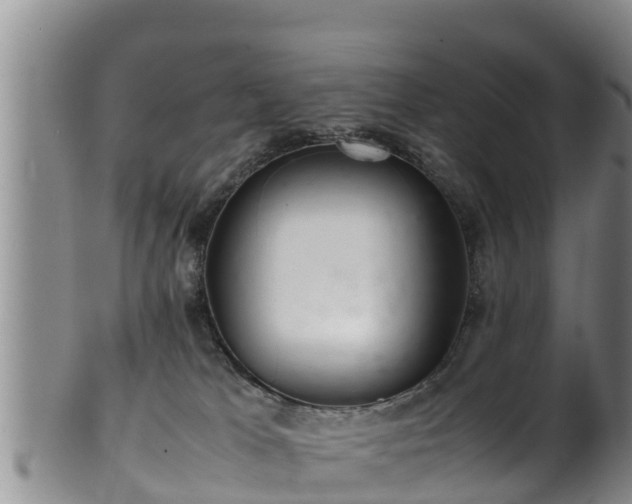 X0000100880037200806271148