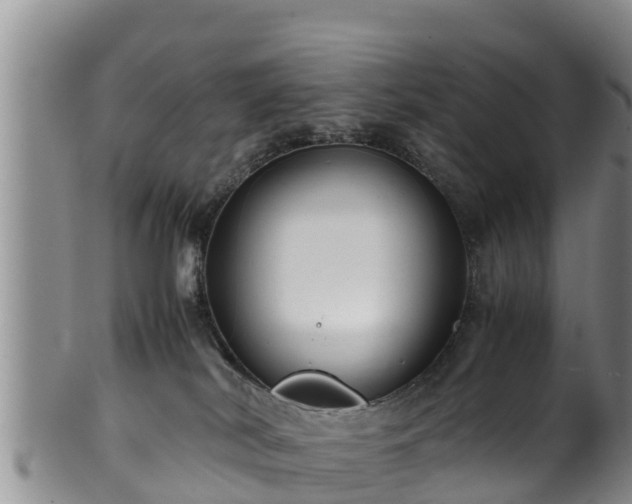 X0000100880038200806271148