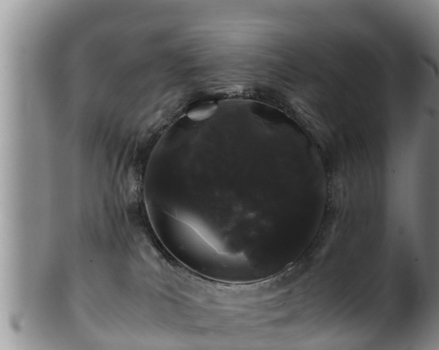 X0000100880039200806271148