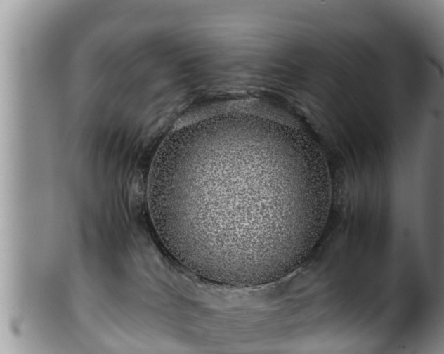 X0000100880040200806271148