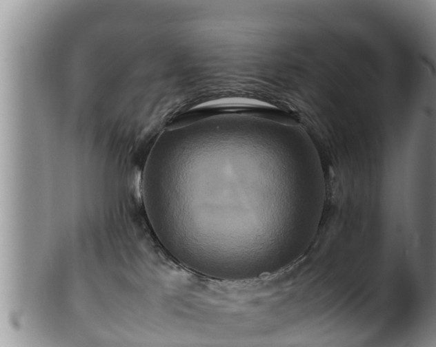 X0000100880041200806271148