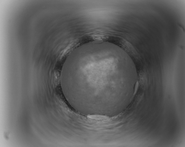 X0000100880043200806271148