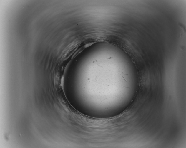 X0000100880044200806271148